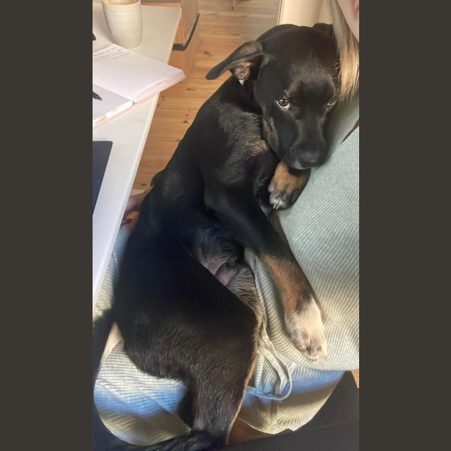 Photo of Ernie Shankman