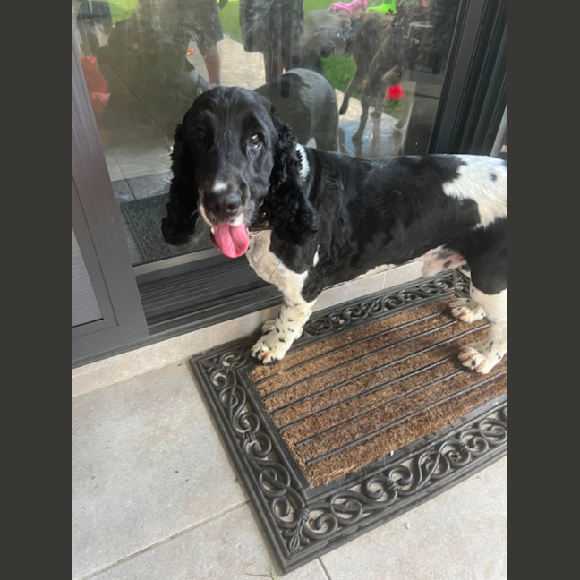 Photo of Archie Archie Archie! 