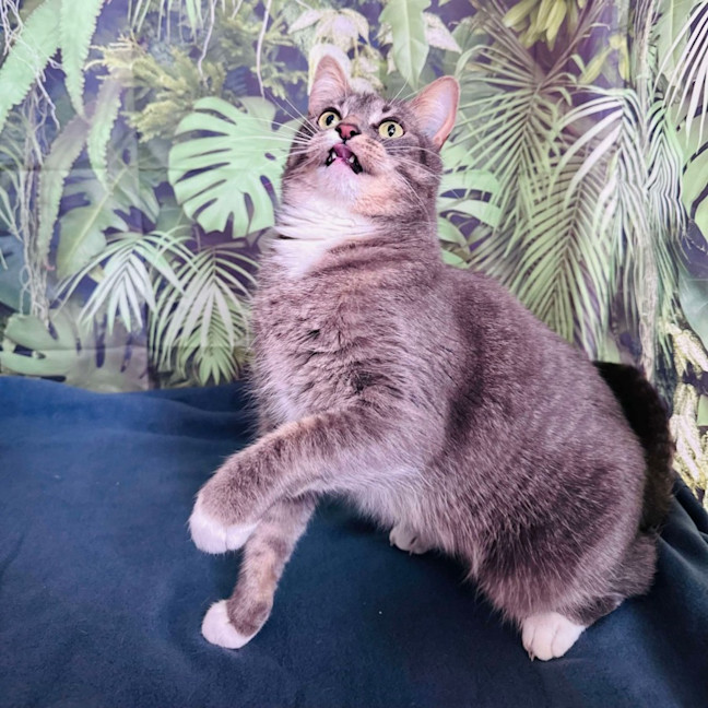 Photo of Greg   Located In Preston