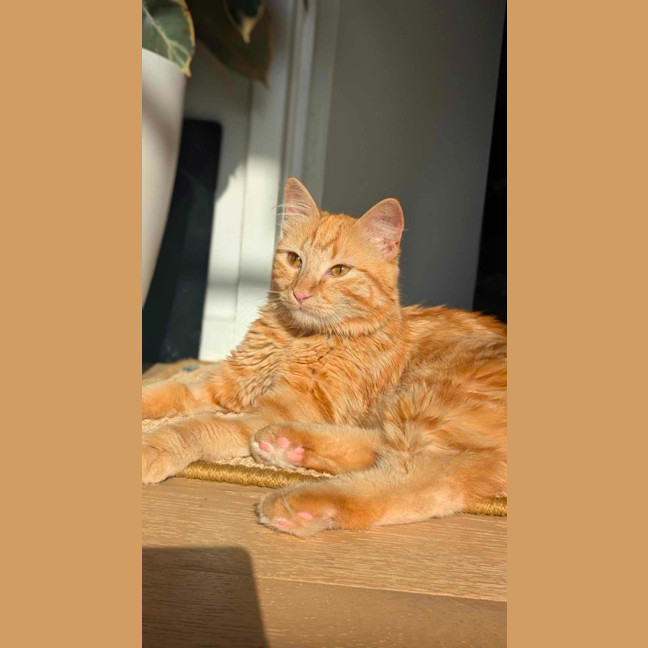 Photo of Barnaby & Rosie 