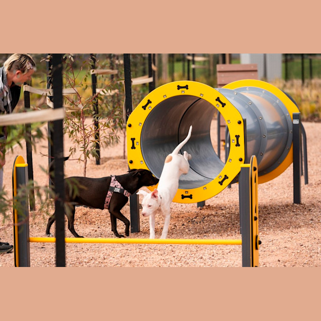 Photo of Winifred (Winnie)