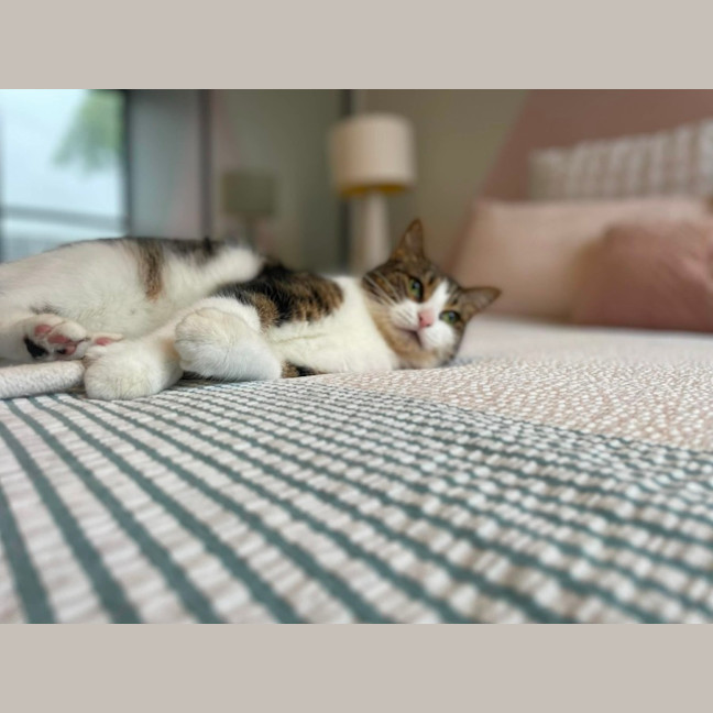 Photo of Mimi   In Foster Care In Macleod