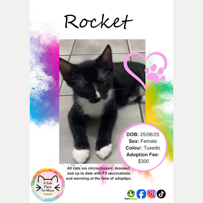 Photo of Rocket