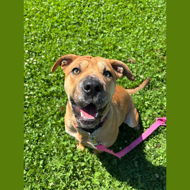 Photo of Velma
