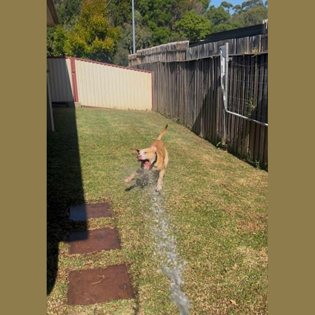 Photo of Titan 