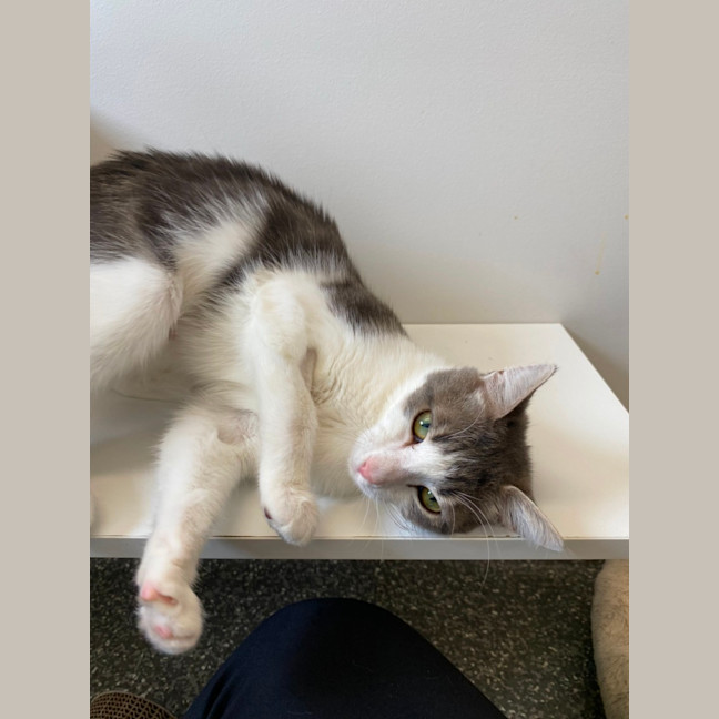 Photo of Tessalyn And Cordelia