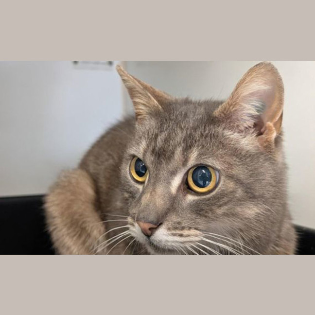 Photo of Jeffrey