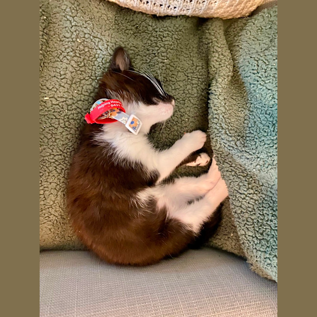 Photo of Maggie ‘Magpie’