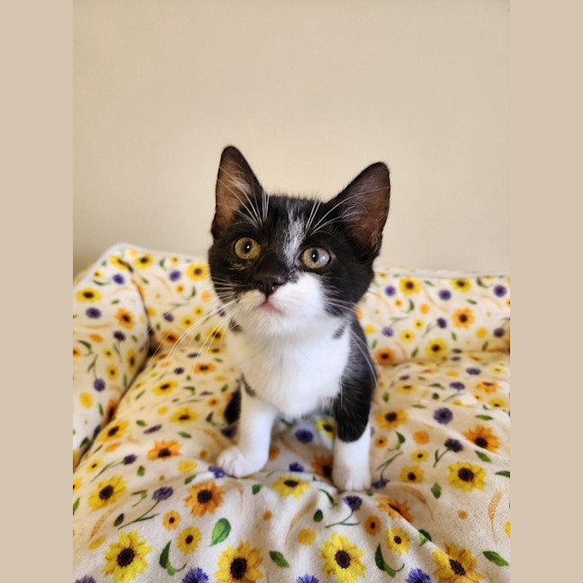 Photo of Moira
