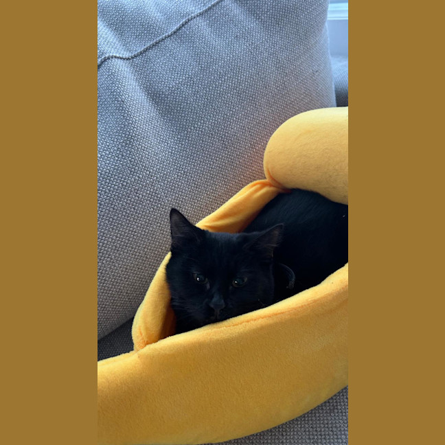 Photo of Maddy