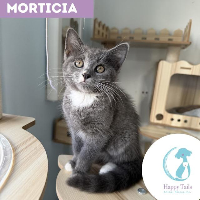 Photo of Morticia