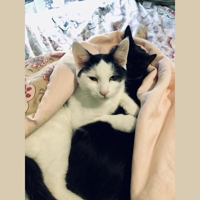 Photo of Jake & Jasper 💙