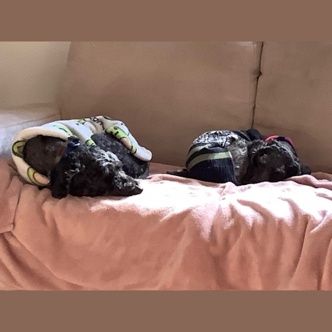 Photo of Greta And George 