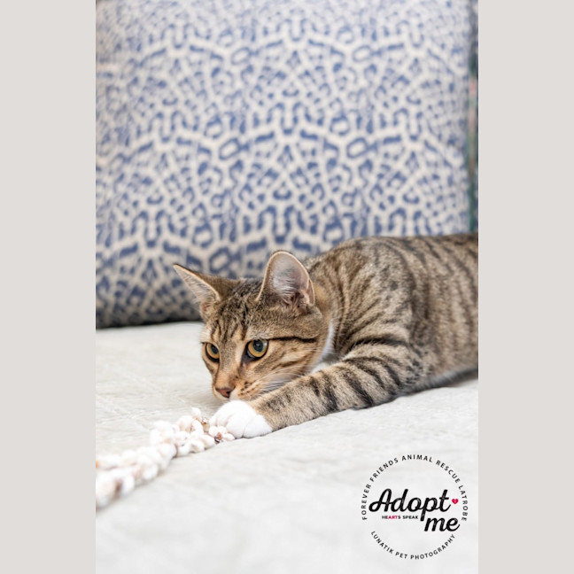 Photo of Eleanor 🌼