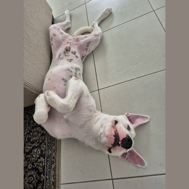 Photo of Ripley