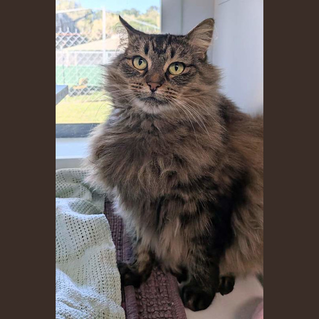 Photo of Fifi