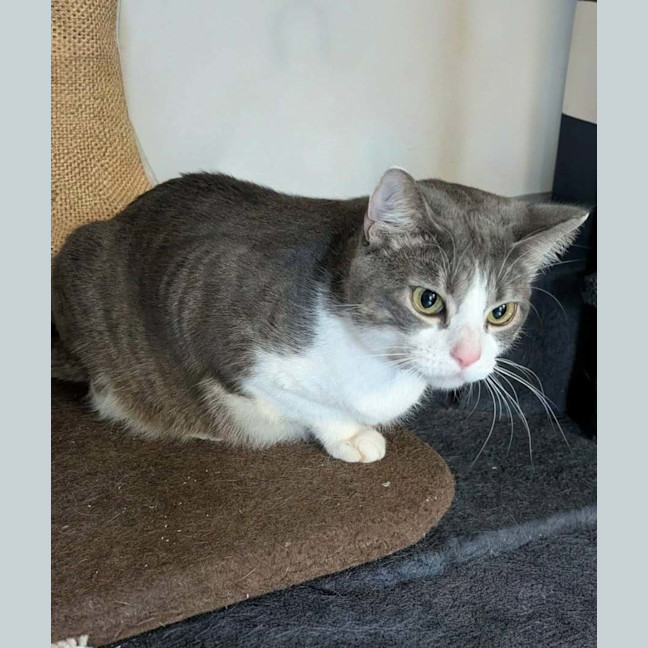 Photo of Minky