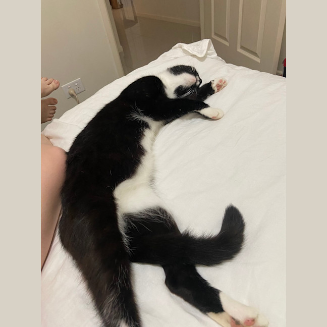 Photo of Smokie