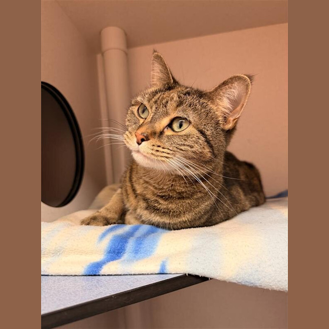 Photo of Thelma