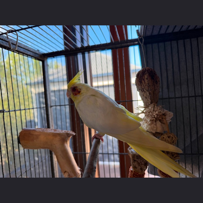Photo of Spunky Punky