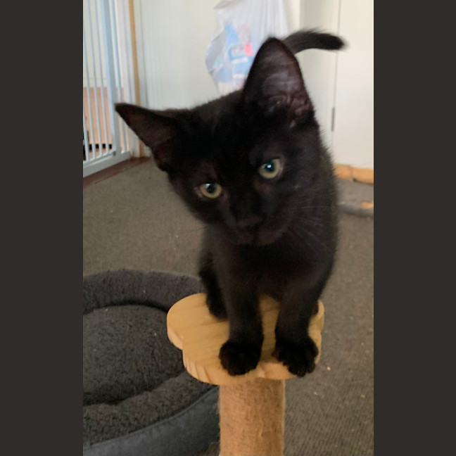 Photo of Olivia