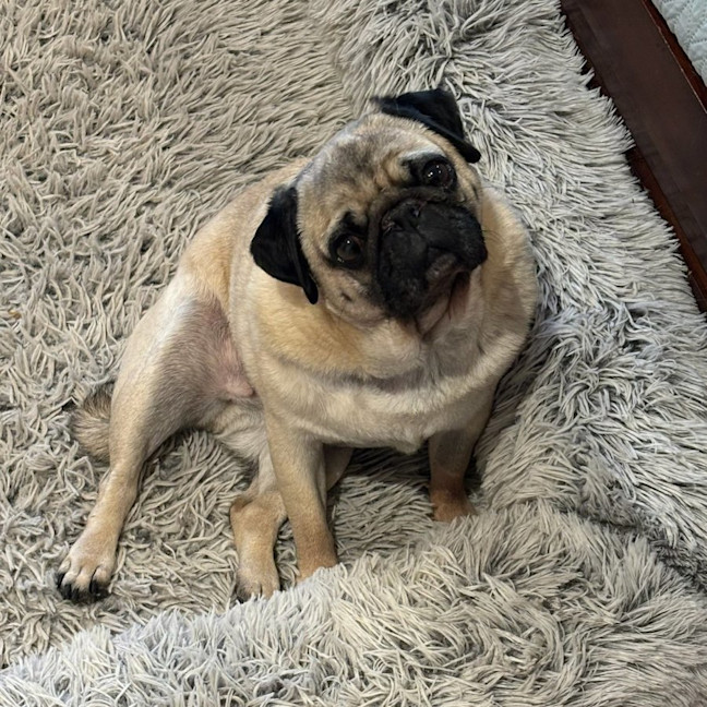 Photo of Fred And Mabel