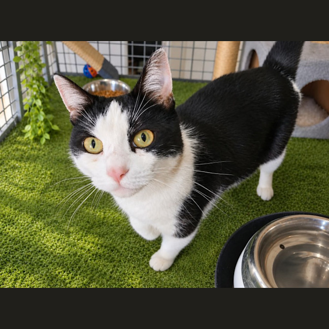 Photo of Sugar