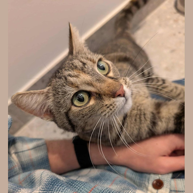 Photo of Hazel   In Foster Care In Brunswick East