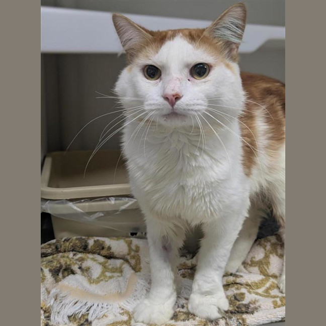 Photo of 🧡 Esteban 6966 🧡