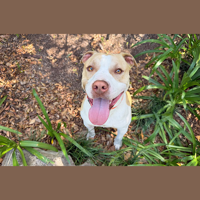 Photo of Benson