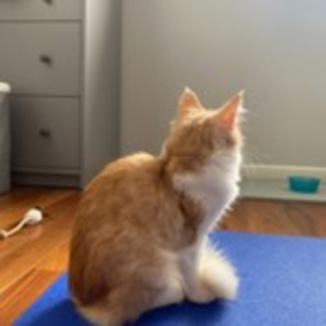 Photo of Mitzi