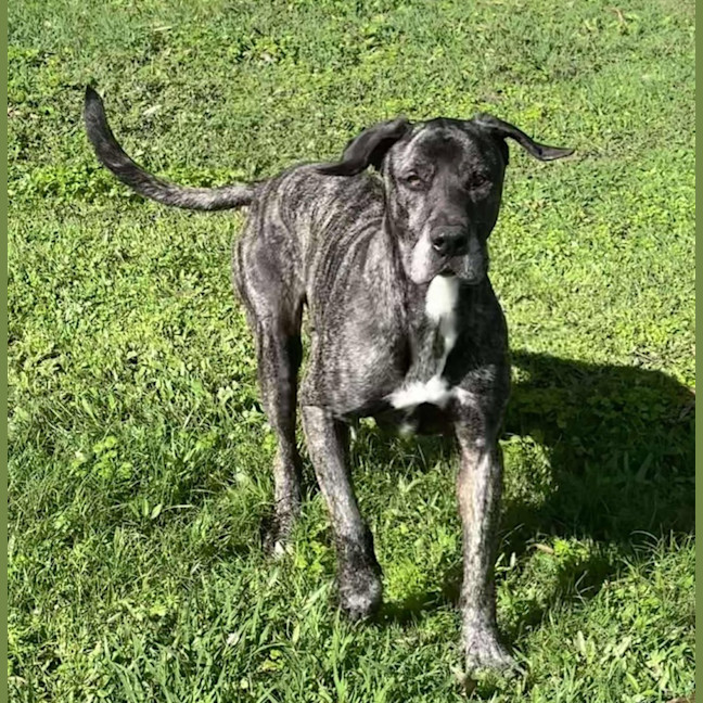 Photo of Coco & Rome 