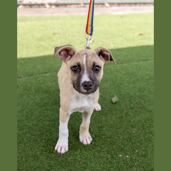 Photo of Lottie Bell