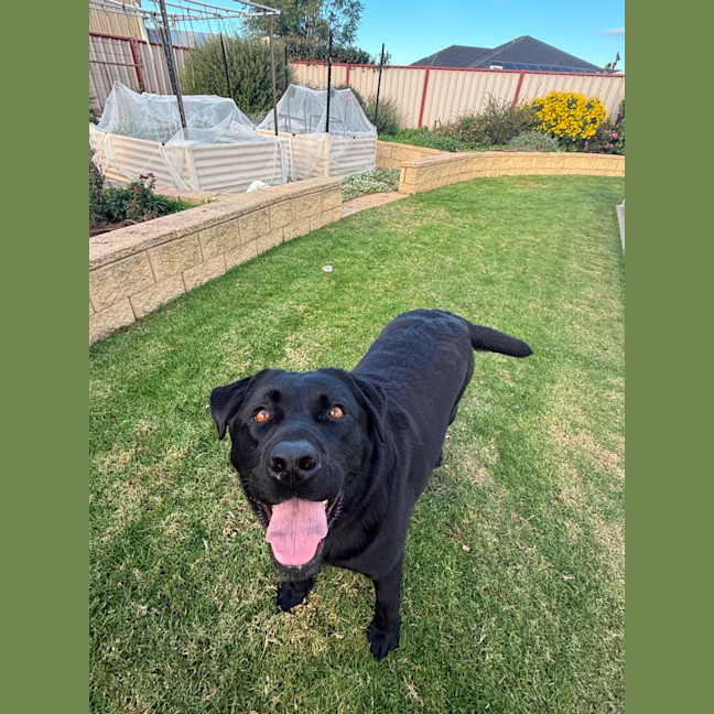 Photo of Rubee