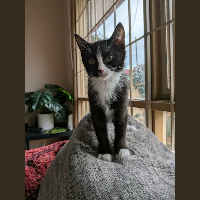 Photo of Nigel