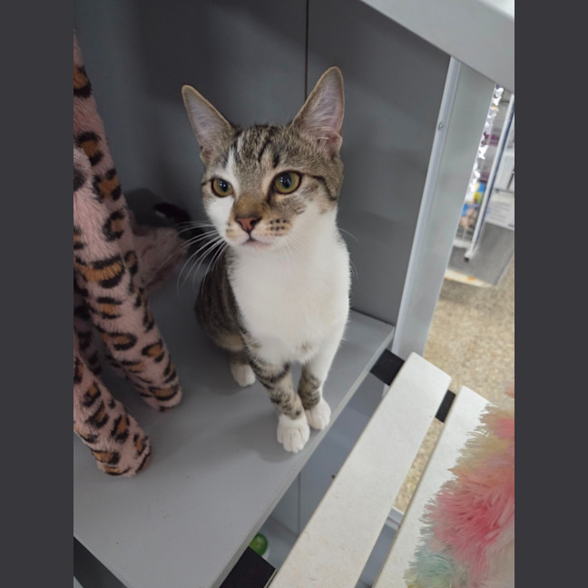 Photo of Martha   Loves Children