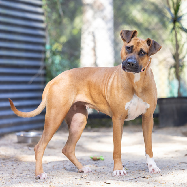 Photo of Ruby