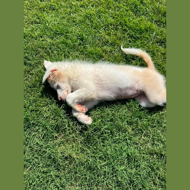Photo of Tilly