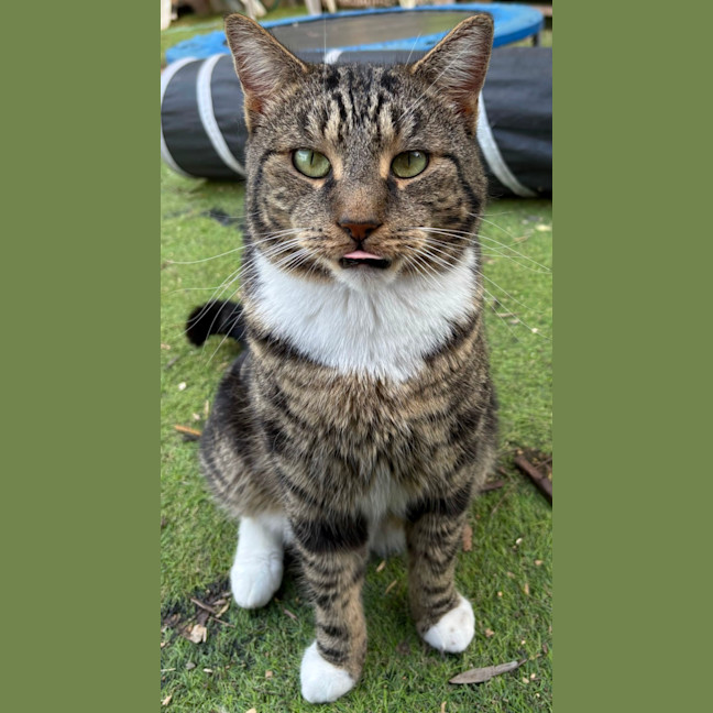 Photo of Tony