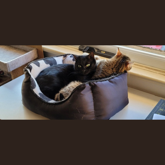 Photo of Sara & Marley