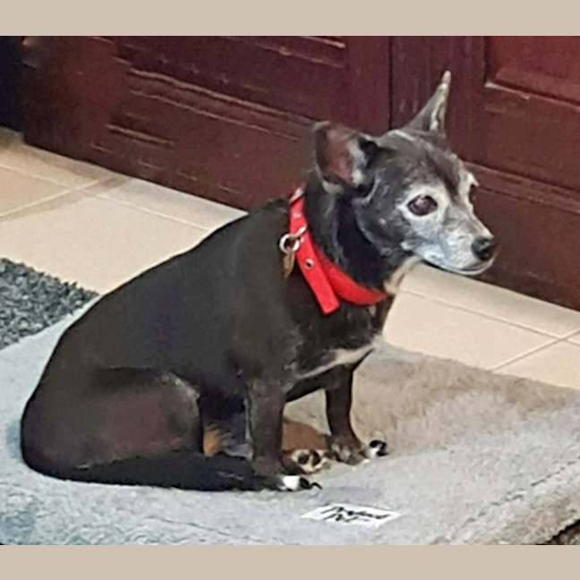 Photo of Minnie