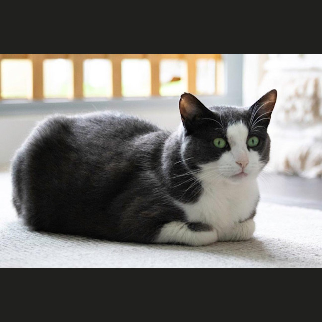 Photo of Billy Ebsworth