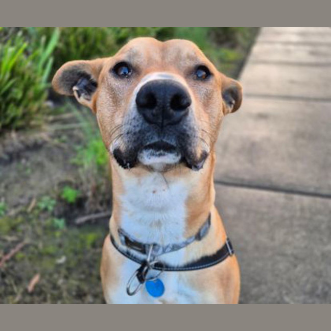 Photo of Bruce