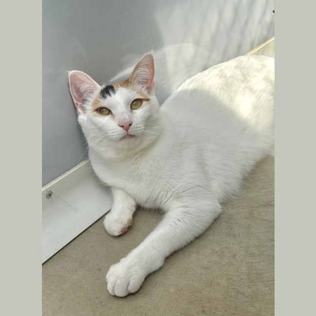 Photo of Lilly