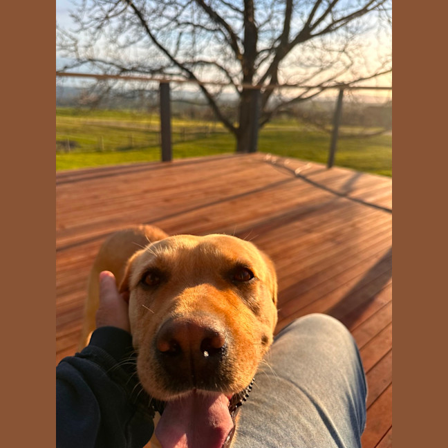 Photo of Molly 