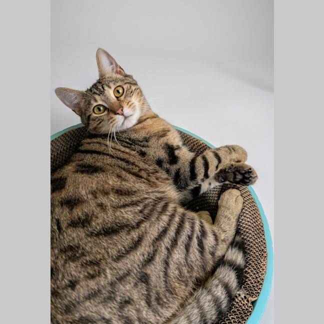 Photo of Flynn