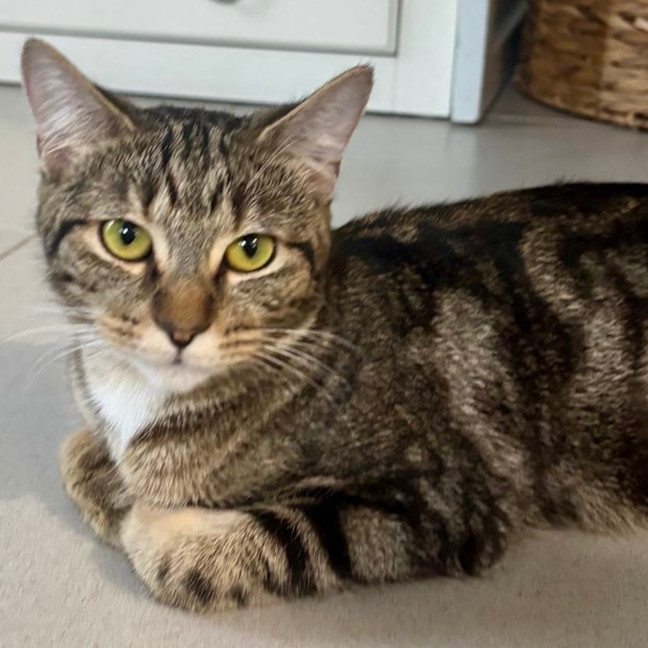 Photo of Lily