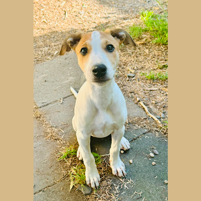 Photo of Quinnie
