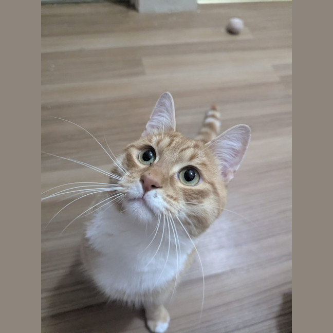 Photo of Simon