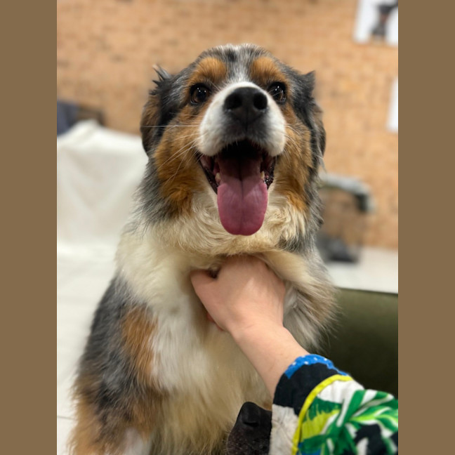 Photo of Bonus